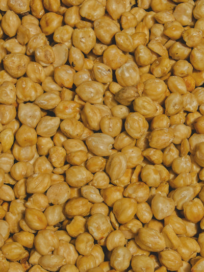 Plant-Based Protein